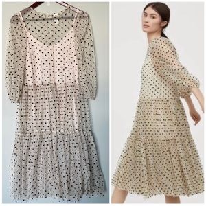 H&M Polka Dot Flock Print Mesh Dress